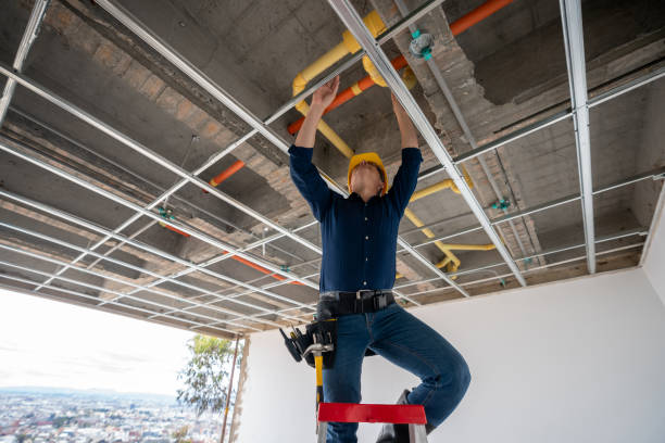 Best Leak Detection Services  in Cambridge, IL